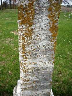 COX, SETH - Mahaska County, Iowa | SETH COX 