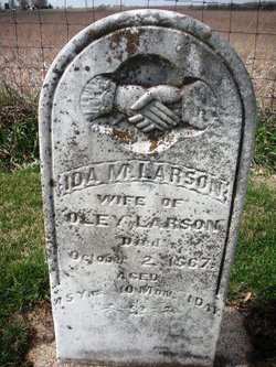 LARSON, IDA M. - Mahaska County, Iowa | IDA M. LARSON 
