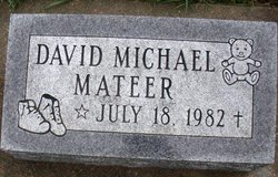 MATEER, DAVID MICHAEL - Mahaska County, Iowa | DAVID MICHAEL MATEER 