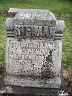 STEWART, WILLIAM E. - Mahaska County, Iowa | WILLIAM E. STEWART 