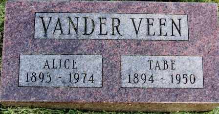 VANDERVEEN, TABE - Mahaska County, Iowa | TABE VANDERVEEN 
