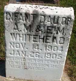 WHITEHEAD, INFANT DAUGHTER - Mahaska County, Iowa | INFANT DAUGHTER WHITEHEAD 