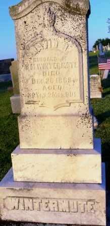 WINTERMUTE, DAVID H. - Mahaska County, Iowa | DAVID H. WINTERMUTE 