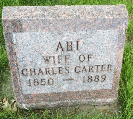 CARTER, ABI - Marion County, Iowa | ABI CARTER 
