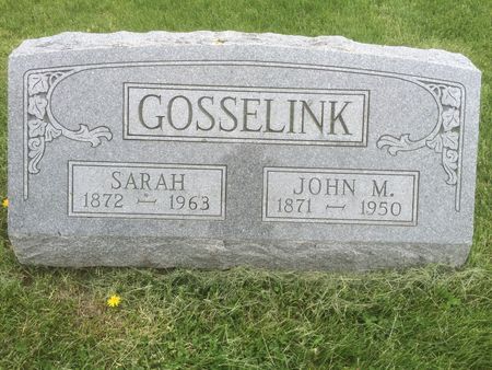 GOSSELINK, SARAH - Marion County, Iowa | SARAH GOSSELINK 