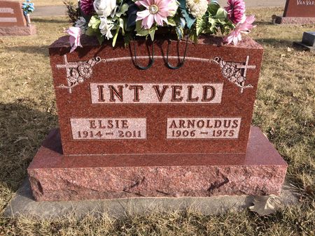 IN'T VELD, ARNOLDUS - Marion County, Iowa | ARNOLDUS IN'T VELD 