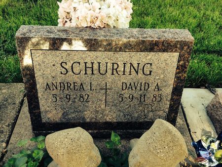 SCHURING, DAVID A. - Marion County, Iowa | DAVID A. SCHURING 