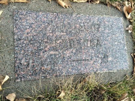 SYBENGA, ADELAID - Marion County, Iowa | ADELAID SYBENGA 