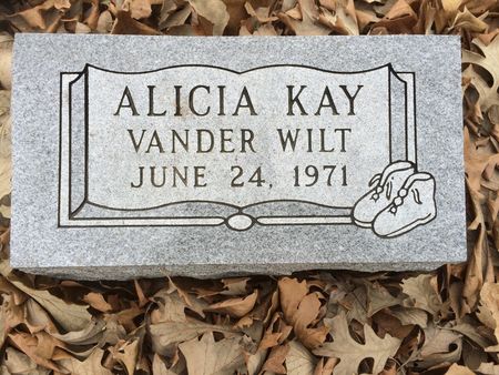 VANDER WILT, ALICIA KAY - Marion County, Iowa | ALICIA KAY VANDER WILT 