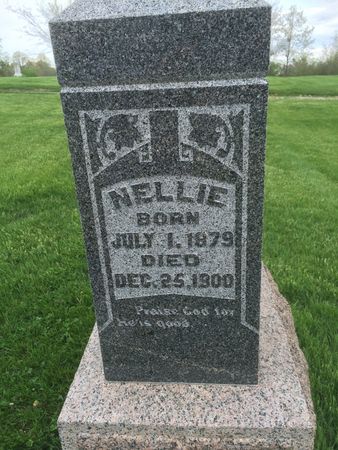 VANDER WILT, NELLIE - Marion County, Iowa | NELLIE VANDER WILT 