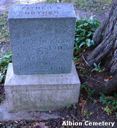 BRIDGMAN, ADAM C. - Marshall County, Iowa | ADAM C. BRIDGMAN 