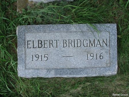 BRIDGMAN, ELBERT - Marshall County, Iowa | ELBERT BRIDGMAN 
