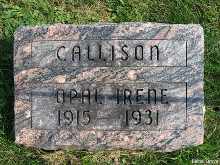 CALLISON, OPAL IRENE - Marshall County, Iowa | OPAL IRENE CALLISON 