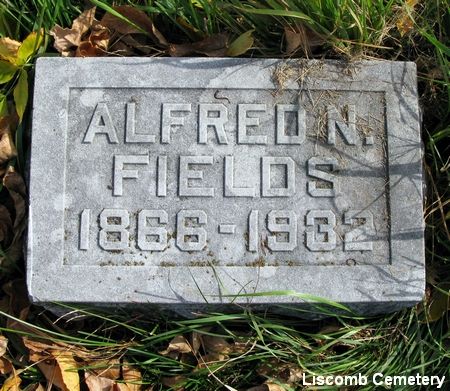 FIELDS, ALFRED N. - Marshall County, Iowa | ALFRED N. FIELDS 