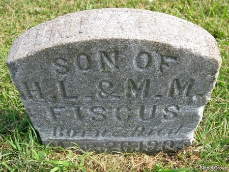 FISCUS, INFANT SON - Marshall County, Iowa | INFANT SON FISCUS 