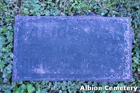 FRALEY, ALICE JOSEPHINE - Marshall County, Iowa | ALICE JOSEPHINE FRALEY 