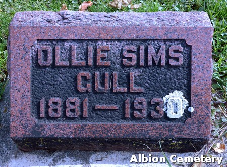 GULL, OLLIE IOLA SIMS - Marshall County, Iowa | OLLIE IOLA SIMS GULL 