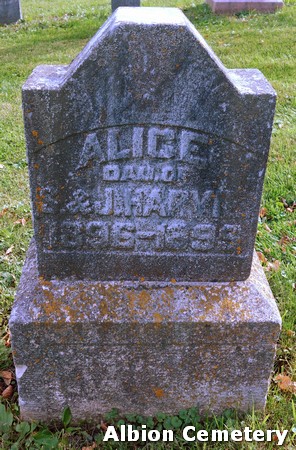 HARVIE, ALICE - Marshall County, Iowa | ALICE HARVIE 