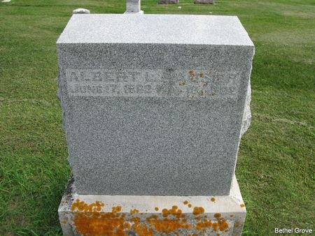 HAUSER, ALBERT L. - Marshall County, Iowa | ALBERT L. HAUSER 