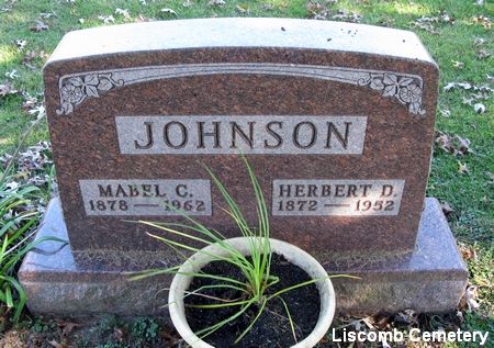 JOHNSON, MABEL C. - Marshall County, Iowa | MABEL C. JOHNSON 