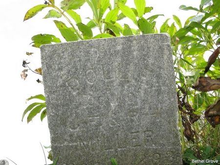 MILLER, DOLLIE - Marshall County, Iowa | DOLLIE MILLER 