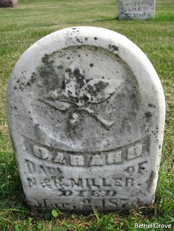 MILLER, SARAH D. - Marshall County, Iowa | SARAH D. MILLER 