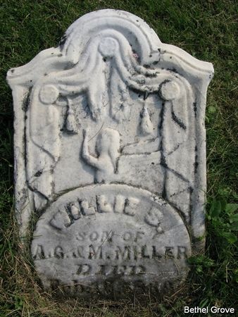 MILLER, WILLIE S. - Marshall County, Iowa | WILLIE S. MILLER 