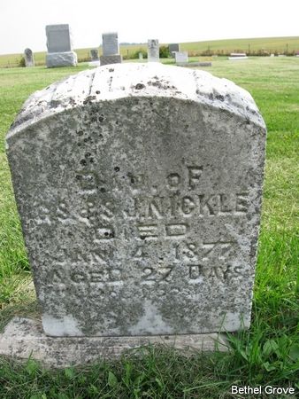 NICKLE, LURA M. - Marshall County, Iowa | LURA M. NICKLE 