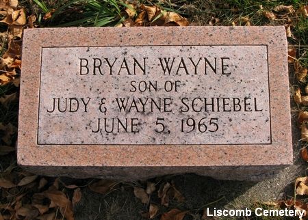 SCHIEBEL, BRYAN WAYNE - Marshall County, Iowa | BRYAN WAYNE SCHIEBEL 