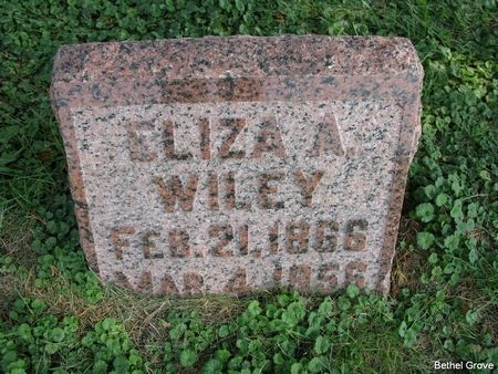 WILEY, ELIZA ANN - Marshall County, Iowa | ELIZA ANN WILEY 