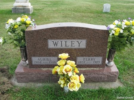 WILEY, PERRY I. - Marshall County, Iowa | PERRY I. WILEY 