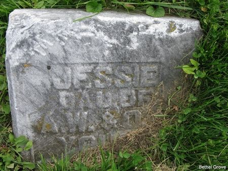 YOUSE, JESSIE - Marshall County, Iowa | JESSIE YOUSE 