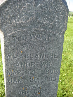 ANDREWS, THOMAS WARD - Mills County, Iowa | THOMAS WARD ANDREWS 