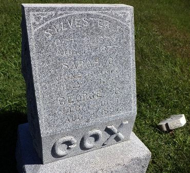 COX, SYLVESTER C - Mills County, Iowa | SYLVESTER C COX 