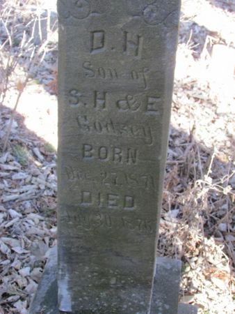 GODSEY, D. H. - Mills County, Iowa | D. H. GODSEY 