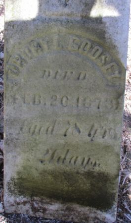 GODSEY, DRURY - Mills County, Iowa | DRURY GODSEY 