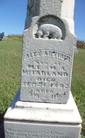 MCFARLAND, ALEX ARTHUR - Mills County, Iowa | ALEX ARTHUR MCFARLAND 