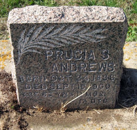 ANDREWS, PRUCIA S. - Mitchell County, Iowa | PRUCIA S. ANDREWS 