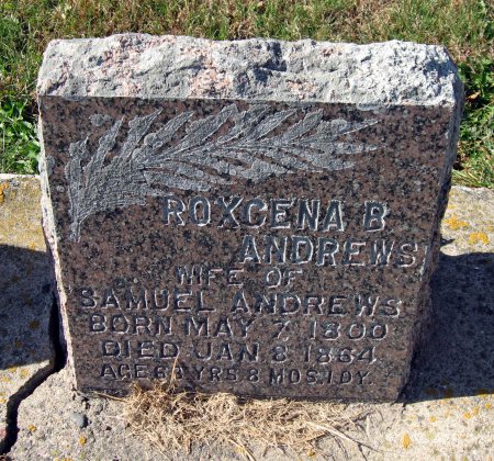 BUTTERFIELD ANDREWS, ROXCENA B. - Mitchell County, Iowa | ROXCENA B. BUTTERFIELD ANDREWS 