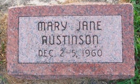 AUSTINSON, MARY JANE - Mitchell County, Iowa | MARY JANE AUSTINSON 