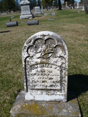 BROWN, CHARLES F. - Mitchell County, Iowa | CHARLES F. BROWN 