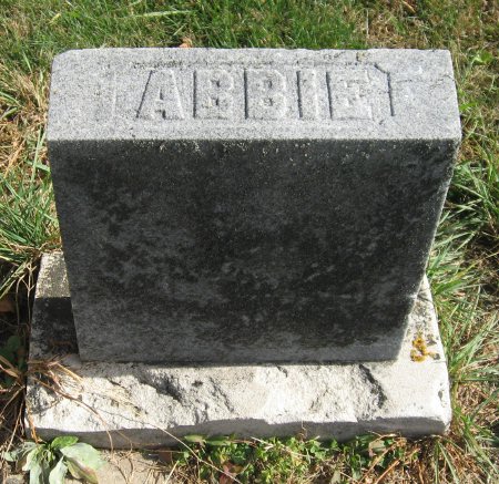 GUIN BURGESS, ABBIE S. - Mitchell County, Iowa | ABBIE S. GUIN BURGESS 