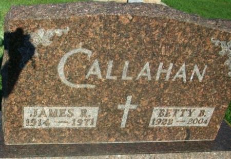 CALLAHAN, JAMES R. - Mitchell County, Iowa | JAMES R. CALLAHAN 