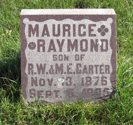CARTER, MAURICE RAYMOND - Mitchell County, Iowa | MAURICE RAYMOND CARTER 