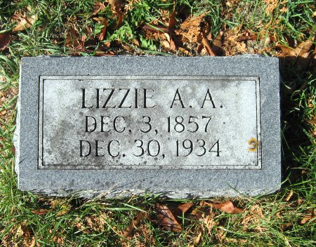 CRITTENDEN, LIZZIE A. A. - Mitchell County, Iowa | LIZZIE A. A. CRITTENDEN 