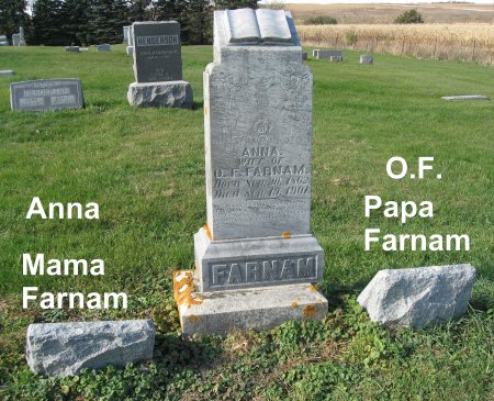 FARNAM, ORSON F. (LOT) - Mitchell County, Iowa | ORSON F. (LOT) FARNAM 