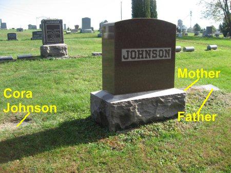 JOHNSON, WILLIAM THEODORE (LOT) - Mitchell County, Iowa | WILLIAM THEODORE (LOT) JOHNSON 