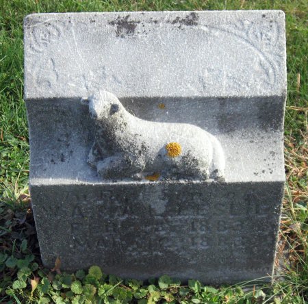 LESLIE, INFANT - Mitchell County, Iowa | INFANT LESLIE 