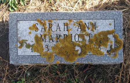 MARRIOTT, SARAH ANN - Mitchell County, Iowa | SARAH ANN MARRIOTT 