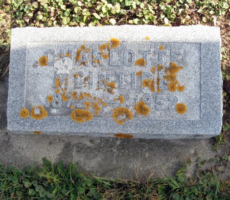 MCINTIRE, CHARLOTTE - Mitchell County, Iowa | CHARLOTTE MCINTIRE 